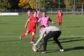 Nom du fichier : JMG_2243.JPG
Poids du fichier : 232KB
Dimensions : 1024x683
Ajouté le : 24 Oct 2016 JMG_2243.JPG