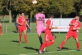 Nom du fichier : JMG_2248.JPG
Poids du fichier : 188KB
Dimensions : 1024x683
Ajouté le : 24 Oct 2016 JMG_2248.JPG