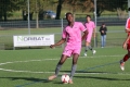 Nom du fichier : JMG_2288.JPG
Poids du fichier : 184KB
Dimensions : 1024x683
Ajouté le : 24 Oct 2016 JMG_2288.JPG
