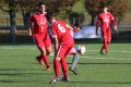 Nom du fichier : JMG_2339.JPG
Poids du fichier : 187KB
Dimensions : 1024x683
Ajouté le : 24 Oct 2016 JMG_2339.JPG