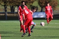 Nom du fichier : JMG_2340.JPG
Poids du fichier : 187KB
Dimensions : 1024x683
Ajouté le : 24 Oct 2016 JMG_2340.JPG
