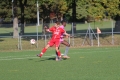 Nom du fichier : JMG_2410.JPG
Poids du fichier : 199KB
Dimensions : 1024x683
Ajouté le : 24 Oct 2016 JMG_2410.JPG