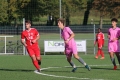 Nom du fichier : JMG_2422.JPG
Poids du fichier : 192KB
Dimensions : 1024x683
Ajouté le : 24 Oct 2016 JMG_2422.JPG