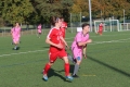 Nom du fichier : JMG_2476.JPG
Poids du fichier : 208KB
Dimensions : 1024x683
Ajouté le : 24 Oct 2016 JMG_2476.JPG