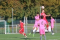 Nom du fichier : JMG_2510.JPG
Poids du fichier : 225KB
Dimensions : 1024x683
Ajouté le : 24 Oct 2016 JMG_2510.JPG