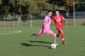 Nom du fichier : JMG_2583.JPG
Poids du fichier : 195KB
Dimensions : 1024x683
Ajouté le : 24 Oct 2016 JMG_2583.JPG