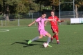 Nom du fichier : JMG_2584.JPG
Poids du fichier : 204KB
Dimensions : 1024x683
Ajouté le : 24 Oct 2016 JMG_2584.JPG