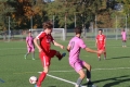 Nom du fichier : JMG_2681.JPG
Poids du fichier : 211KB
Dimensions : 1024x683
Ajouté le : 24 Oct 2016 JMG_2681.JPG