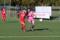 Nom du fichier : JMG_2702.JPG
Poids du fichier : 215KB
Dimensions : 1024x683
Ajouté le : 24 Oct 2016 JMG_2702.JPG