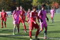 Nom du fichier : JMG_2740.JPG
Poids du fichier : 218KB
Dimensions : 1024x683
Ajouté le : 24 Oct 2016 JMG_2740.JPG