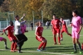 Nom du fichier : JMG_2741.JPG
Poids du fichier : 227KB
Dimensions : 1024x683
Ajouté le : 24 Oct 2016 JMG_2741.JPG