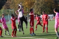 Nom du fichier : JMG_2743.JPG
Poids du fichier : 244KB
Dimensions : 1024x683
Ajouté le : 24 Oct 2016 JMG_2743.JPG