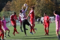 Nom du fichier : JMG_2744.JPG
Poids du fichier : 266KB
Dimensions : 1024x683
Ajouté le : 24 Oct 2016 JMG_2744.JPG