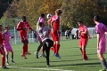 Nom du fichier : JMG_2745.JPG
Poids du fichier : 275KB
Dimensions : 1024x683
Ajouté le : 24 Oct 2016 JMG_2745.JPG