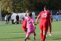 Nom du fichier : JMG_2760.JPG
Poids du fichier : 167KB
Dimensions : 1024x683
Ajouté le : 24 Oct 2016 JMG_2760.JPG