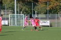 Nom du fichier : JMG_2778.JPG
Poids du fichier : 249KB
Dimensions : 1024x683
Ajouté le : 24 Oct 2016 JMG_2778.JPG