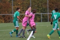 Nom du fichier : IMG_2556.JPG
Poids du fichier : 185KB
Dimensions : 1024x683
Ajouté le : 07 Nov 2016 IMG_2556.JPG
