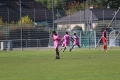 Nom du fichier : JMG_0038.JPG
Poids du fichier : 238KB
Dimensions : 1024x683
Ajouté le : 25 Oct 2016 JMG_0038.JPG