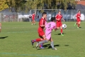 Nom du fichier : JMG_0134.JPG
Poids du fichier : 203KB
Dimensions : 1024x683
Ajouté le : 25 Oct 2016 JMG_0134.JPG