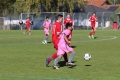 Nom du fichier : JMG_0135.JPG
Poids du fichier : 197KB
Dimensions : 1024x683
Ajouté le : 25 Oct 2016 JMG_0135.JPG