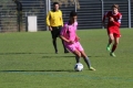 Filename=JMG_0274.JPG
Filesize=182KB
Dimensions=1024x683
Date added=Oct 25, 2016 JMG_0274.JPG