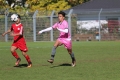 Nom du fichier : JMG_0617.JPG
Poids du fichier : 177KB
Dimensions : 1024x683
Ajouté le : 25 Oct 2016 JMG_0617.JPG