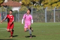 Nom du fichier : JMG_0620.JPG
Poids du fichier : 171KB
Dimensions : 1024x683
Ajouté le : 25 Oct 2016 JMG_0620.JPG