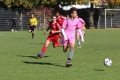 Filename=JMG_0943.JPG
Filesize=220KB
Dimensions=1024x683
Date added=Oct 25, 2016 JMG_0943.JPG