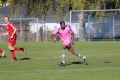 Nom du fichier : JMG_1076.JPG
Poids du fichier : 192KB
Dimensions : 1024x683
Ajouté le : 25 Oct 2016 JMG_1076.JPG