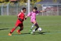 Nom du fichier : JMG_1078.JPG
Poids du fichier : 174KB
Dimensions : 1024x683
Ajouté le : 25 Oct 2016 JMG_1078.JPG