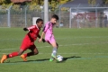 Nom du fichier : JMG_1079.JPG
Poids du fichier : 172KB
Dimensions : 1024x683
Ajouté le : 25 Oct 2016 JMG_1079.JPG