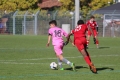 Nom du fichier : JMG_1087.JPG
Poids du fichier : 172KB
Dimensions : 1024x683
Ajouté le : 25 Oct 2016 JMG_1087.JPG