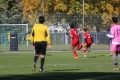 Nom du fichier : JMG_1101.JPG
Poids du fichier : 253KB
Dimensions : 1024x683
Ajouté le : 25 Oct 2016 JMG_1101.JPG