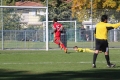 Nom du fichier : JMG_1105.JPG
Poids du fichier : 244KB
Dimensions : 1024x683
Ajouté le : 25 Oct 2016 JMG_1105.JPG