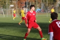 Filename=JMG_0549.JPG
Filesize=161KB
Dimensions=1024x683
Date added=Nov 09, 2016 JMG_0549.JPG