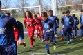 Filename=IMG_5917.JPG
Filesize=270KB
Dimensions=1024x683
Date added=Mar 06, 2017 IMG_5917.JPG