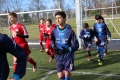 Filename=IMG_5922.JPG
Filesize=228KB
Dimensions=1024x683
Date added=Mar 06, 2017 IMG_5922.JPG