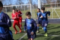 Filename=IMG_5923.JPG
Filesize=246KB
Dimensions=1024x683
Date added=Mar 06, 2017 IMG_5923.JPG