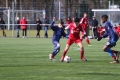 Filename=IMG_5955.JPG
Filesize=192KB
Dimensions=1024x683
Date added=Mar 06, 2017 IMG_5955.JPG