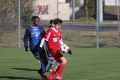 Filename=IMG_6020.JPG
Filesize=154KB
Dimensions=1024x683
Date added=Mar 06, 2017 IMG_6020.JPG