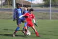 Filename=IMG_6023.JPG
Filesize=163KB
Dimensions=1024x683
Date added=Mar 06, 2017 IMG_6023.JPG