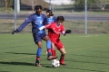 Filename=IMG_6024.JPG
Filesize=163KB
Dimensions=1024x683
Date added=Mar 06, 2017 IMG_6024.JPG