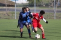 Filename=IMG_6026.JPG
Filesize=166KB
Dimensions=1024x683
Date added=Mar 06, 2017 IMG_6026.JPG