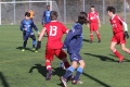 Filename=IMG_6149.JPG
Filesize=198KB
Dimensions=1024x683
Date added=Mar 06, 2017 IMG_6149.JPG