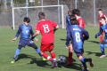 Filename=IMG_6150.JPG
Filesize=204KB
Dimensions=1024x683
Date added=Mar 06, 2017 IMG_6150.JPG