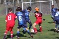 Filename=IMG_6155.JPG
Filesize=190KB
Dimensions=1024x683
Date added=Mar 06, 2017 IMG_6155.JPG