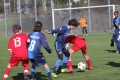 Filename=IMG_6157.JPG
Filesize=181KB
Dimensions=1024x683
Date added=Mar 06, 2017 IMG_6157.JPG