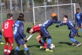 Filename=IMG_6159.JPG
Filesize=217KB
Dimensions=1024x683
Date added=Mar 06, 2017 IMG_6159.JPG