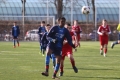 Filename=IMG_6210.JPG
Filesize=164KB
Dimensions=1024x683
Date added=Mar 06, 2017 IMG_6210.JPG