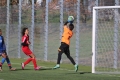Filename=IMG_6225.JPG
Filesize=206KB
Dimensions=1024x683
Date added=Mar 06, 2017 IMG_6225.JPG
